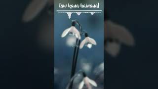 Download lagu Lawkana bainanal - Nissa Sabyan mp3