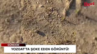 Yozgat’ta şoke eden görüntü! | İleri Gazetesi