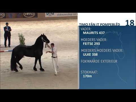 Hengstenkeuring 2018: Derde Bezichting