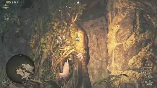 熟女が頑張る！MONSTER HUNTER WILDS　零式じゃァァァァァ‼️とりま頑張る