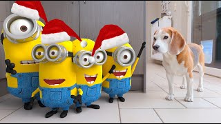 Animations in REAL LIFE vs Funny Dogs 🥳 | Christmas Minions Edition