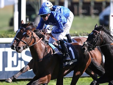 n-tv Beitrag: Best Solution siegt im 128. Longines Grosser Preis von Berlin (Gr. I) – Berlin