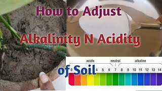 How to Adjust pH of soil Easily/How to Adjust Alkalinity n Acidity of soil easily