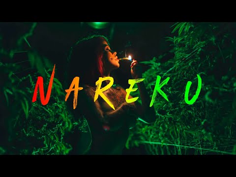 Nareku - Ragga Mix (Reggae, Raggastep, Dub)