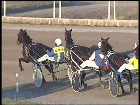 Trotto 30/12/2014 - 2° corsa