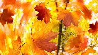 "Hold It Together" Cory Linden, Studio Recording/Lyric Video