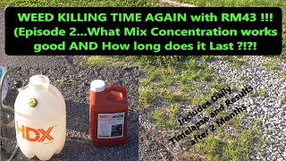 RM43 Weed Killer - What Concentration to Use and How Long does it Last !! (Includes Time Lapse)