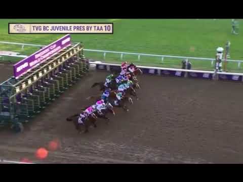 Essential Quality rallies under jockey Luis Saez to win the $2 m Breeders' Cup Juvenile at Keeneland