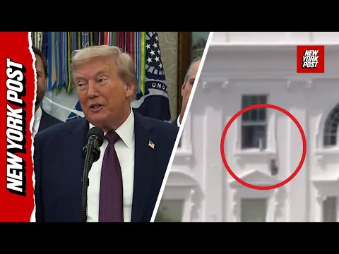 Trump Debunks Video of Objects Being Tossed From White House Window: 'Those Windows Are Sealed'