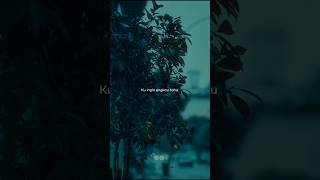 Jika Engkau - Noah #music #shortsmusic #shortvideo #lyrics #trendingshorts #noah #peterpan