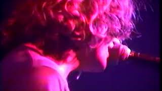 The Flaming Lips - Live at Webster Hall NYC 1995