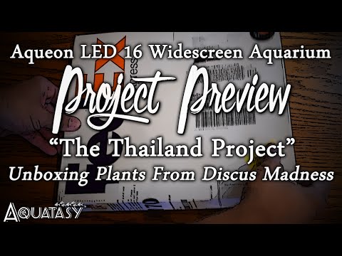 Aquatasy - Project Preview - The Thailand Project - Plant Unboxing