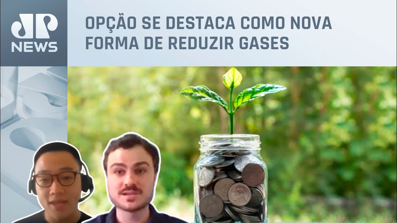 Entenda o que é e como funciona o mercado de carbono