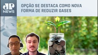 Entenda o que é e como funciona o mercado de carbono