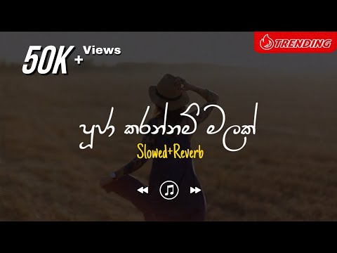 Pooja Karannam - පූජා කරන්නම් (Slowed+Reverb)