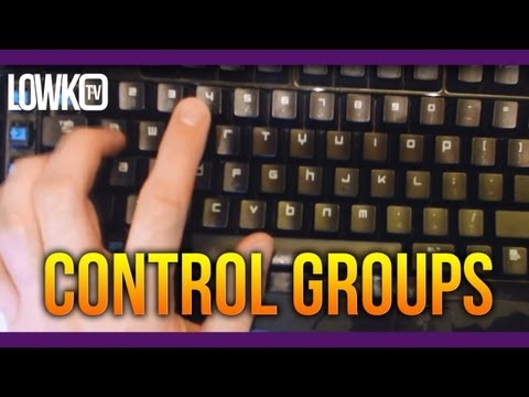 Control Groups in StarCraft II: Heart of the Swarm
