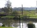 Longleat Park Flamingo S