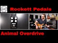 Rockett Pedals Animal OD Tour Series Quick Listen Demo Video by Shawn Tubbs