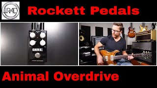 Video thumbnail for Rockett Pedals Animal OD Tour Series Quick Listen Demo Video by Shawn Tubbs by Shawn Tubbs