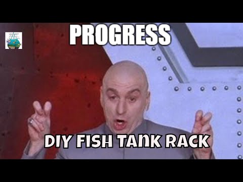 How to Build an Aquarium Rack Fish Room Update Fish Room VLOG