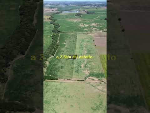 EN VENTA: CAMPO AGRÍCOLA 17,7 Hectáreas, en Capitán Sarmiento, Buenos Aires, Argentina.