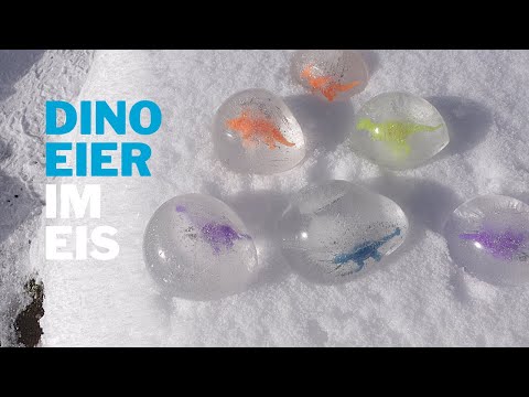 Dinosaurier-Eier im Eis