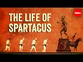 From Enslavement To Rebel Gladiator The Life Of Spartacus Fiona Radford