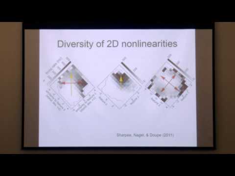 Allison J. Doupe Memorial Symposium - Tatyana Sharpee, PhD