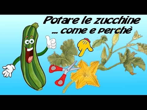 Vermi piatti parassitici o helminths Ayurveda da vermi per bambini