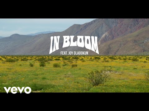 Jon Foreman - In Bloom (feat. Joy Oladokun) (Official Lyric Video)