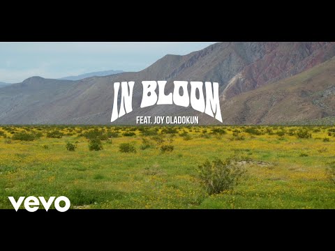 Video thumbnail for In Bloom