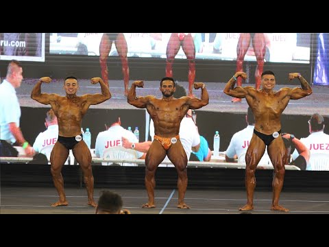 FISICOCULTURISMO ABSOLUTO (NOVEL) – COPA AMERICAN 2024