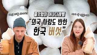 고기보다 맛있는 버섯 먹방 | 한국 버섯🍄 어디까지 먹어봤니?