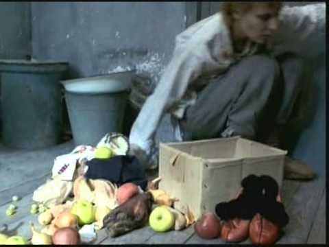 Come gattino per chiedere per vermi Quello che è il migliore di tutti per accettare da vermi