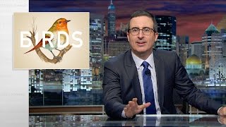 Birds: Last Week Tonight with John Oliver (Web Exclusive)