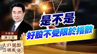 是不是 好股不受限於指數 (圖)