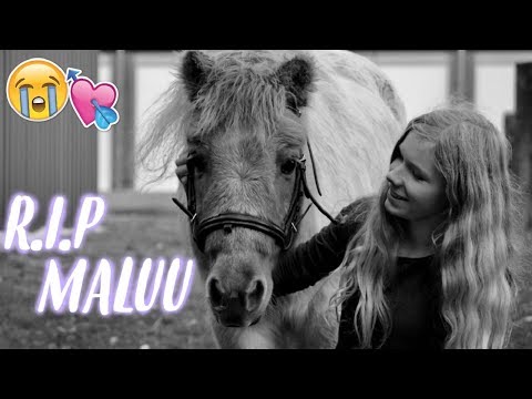 Rust zacht lieve Maluu❤️🌟 || 08/11/17