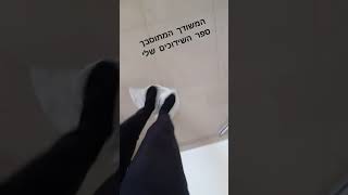 המשודך המתוסבך - נקיונות (המשודך המתוסבך) - התמונה מוצגת ישירות מתוך אתר האינטרנט יוטיוב. זכויות היוצרים בתמונה שייכות ליוצרה. קישור קרדיט למקור התוכן נמצא בתוך דף הסרטון