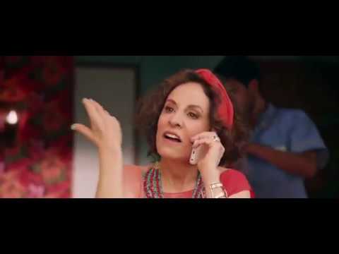 Qualquer gato vira lata 2