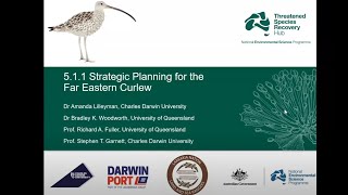 Strategic planning for the far eastern curlew
