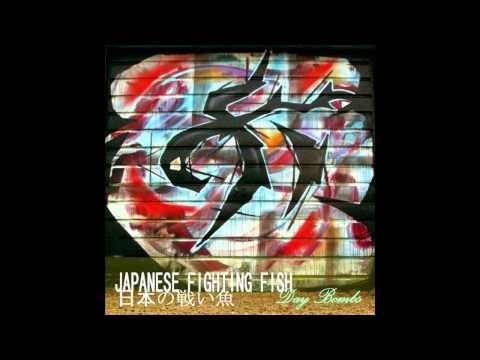Japanese Fighting Fish - 6. Ben