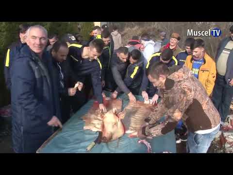 Jurnal MUSCEL TV 22.12.2022 Sport - Fotbal -  Petrolul Hârtiești , banchet de final de an,