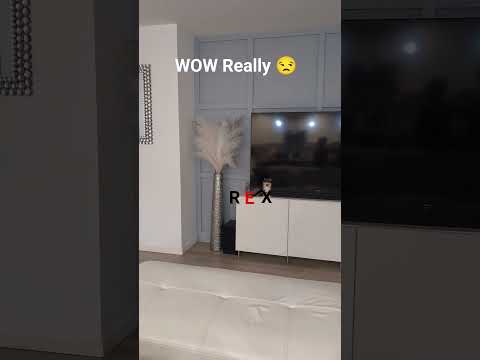 They really tried to play me bruh!!... E?! #funny #trendingshorts  #trending #zrfamilyflex #kingrex