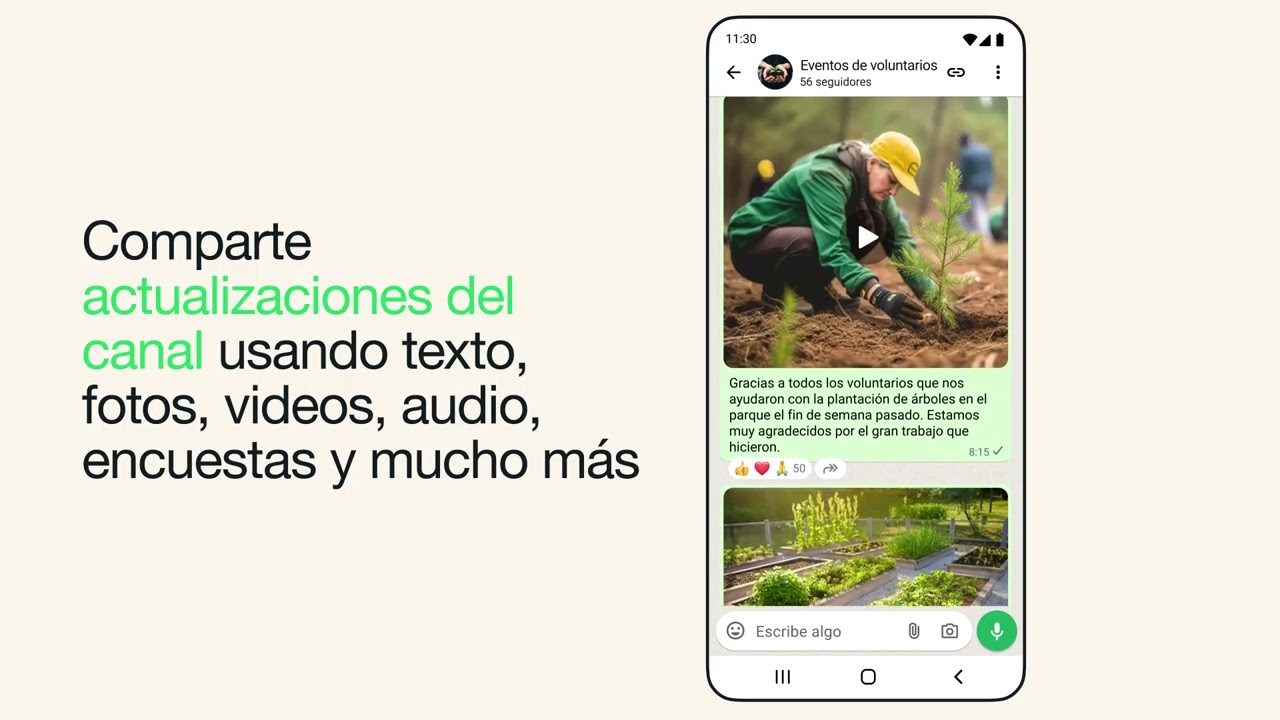 Cómo crear un canal de WhatsApp | WhatsApp