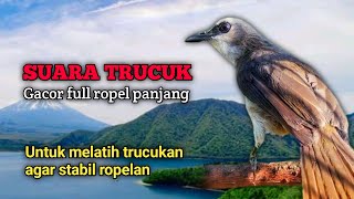 Download lagu Suara burung TRUCUK GACOR full ropel untuk MELATIH TRUCUKAN agar stabil ROPELAN mp3