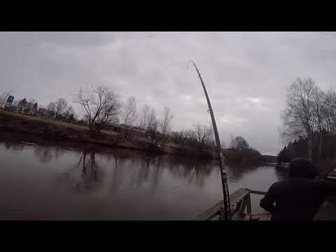 Korkeakoski 13.04.2019 Spinfluga fishing