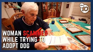 Woman loses $500 in dog adoption scam
