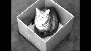 Normandie - The Shout Out Louds