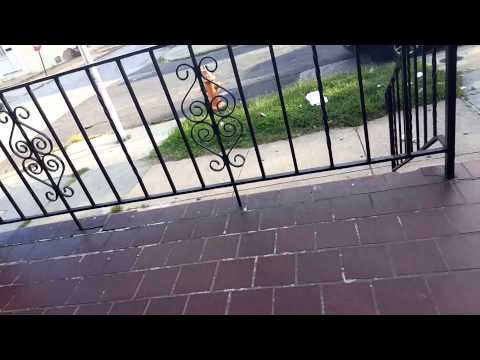 Dani Jay's live broadcast - Tue Oct 06 17:14:40 EDT 2015