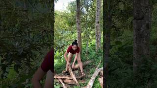 Download lagu Mencari Kayu bakar untuk memasak mp3
